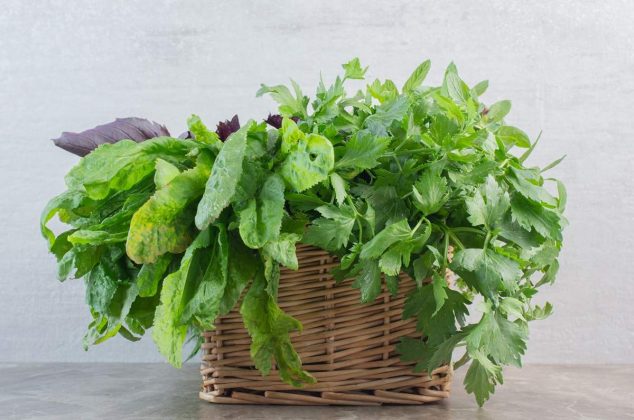 Cómo revivir hierbas aromáticas y hortalizas marchitas paso a paso