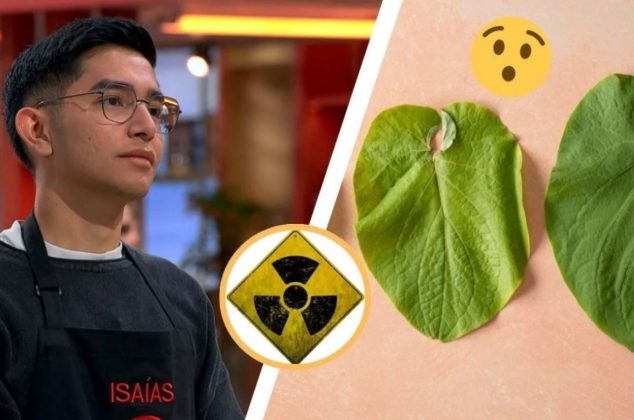 ¿Si o no se blanquea la hoja santa por que es tóxica? Duda resuelta por la ciencia