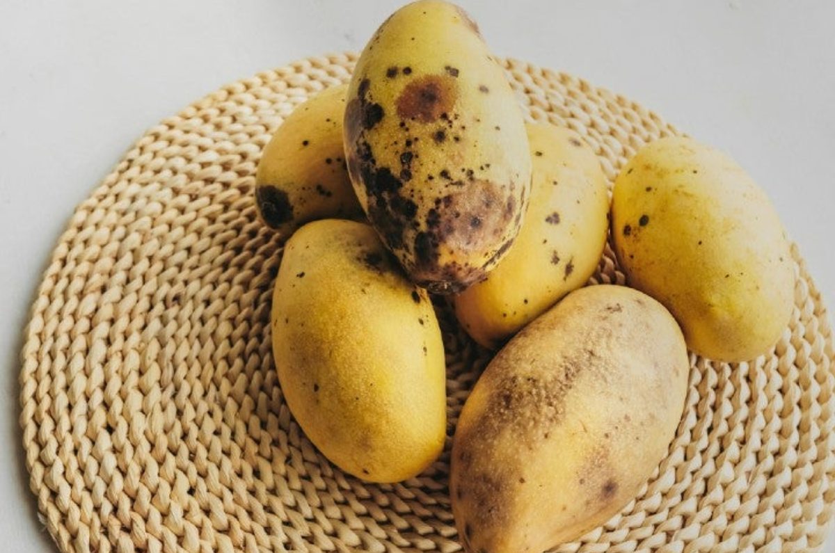 manchas negras en el mango