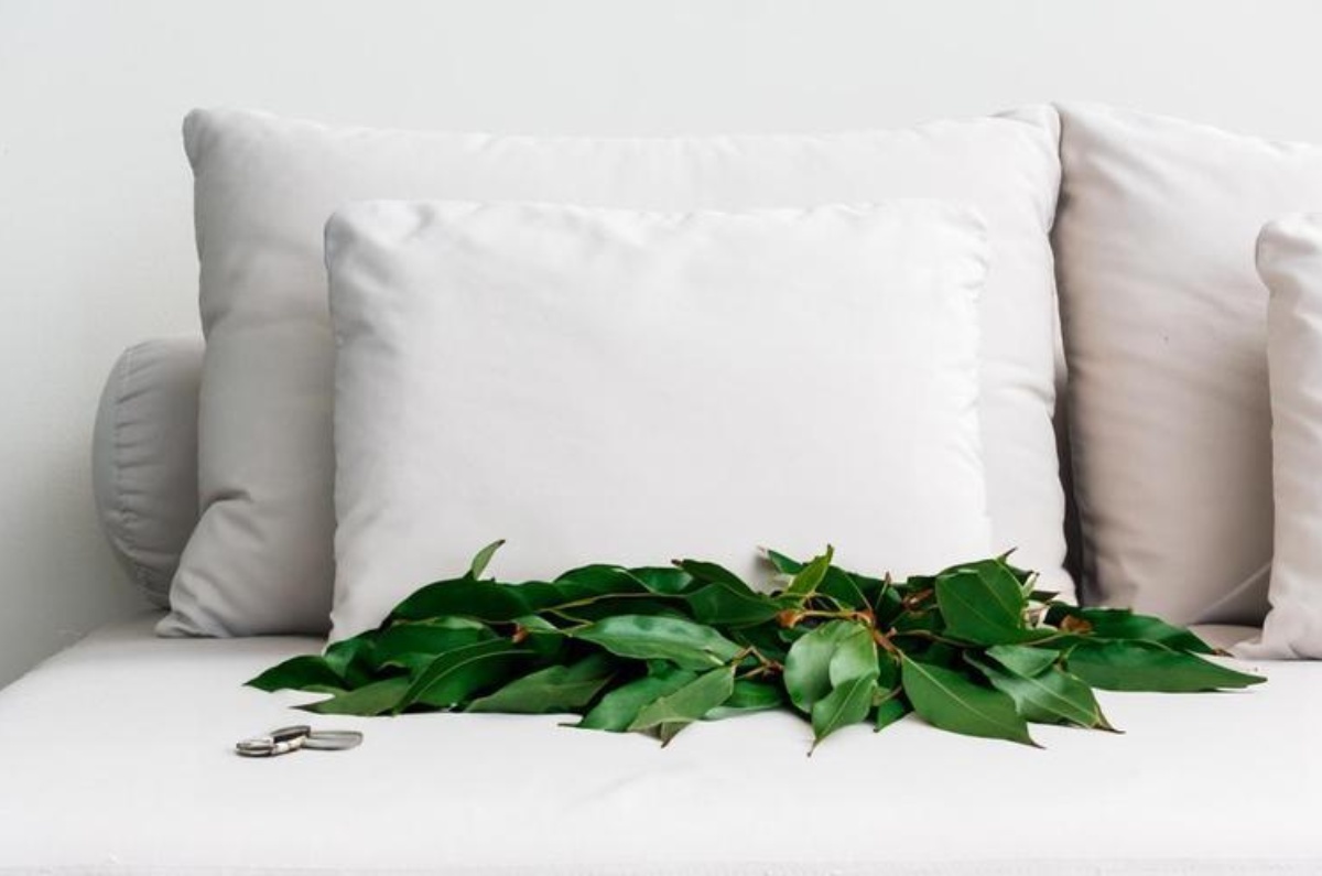 poner hojas de laurel debajo de la almohada