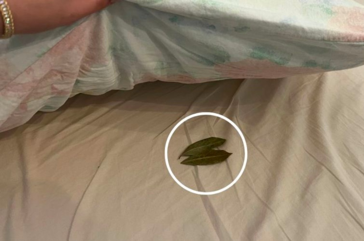 poner hojas de laurel debajo de la almohada