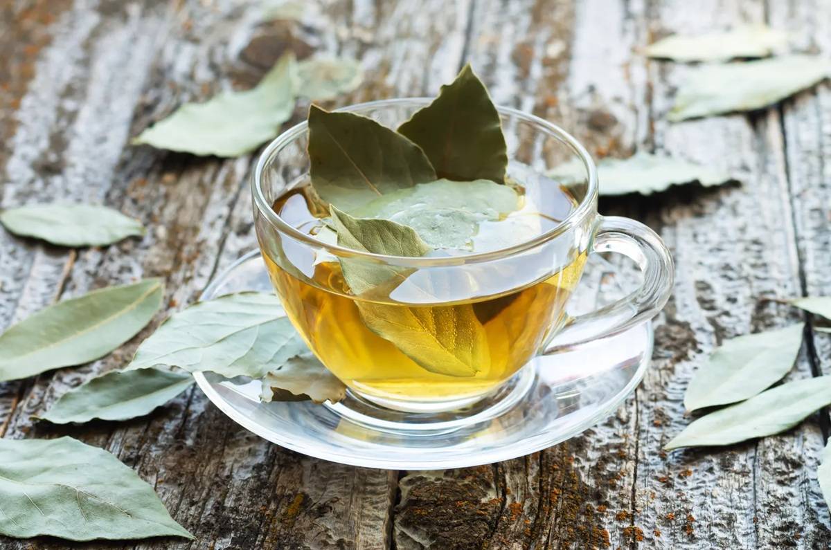 Receta | Té de laurel para mejorar la apariencia de la piel