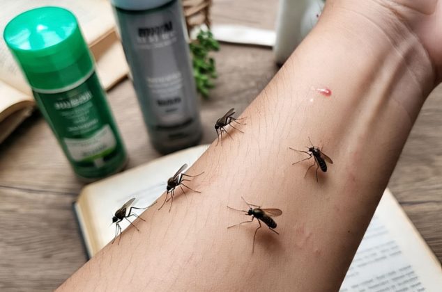 ¡No más piquetes! Estos son los mejores repelentes contra mosquitos según Profeco