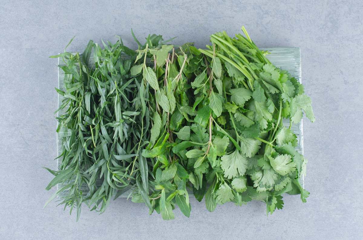 Truco para revivir hierbas aromáticas