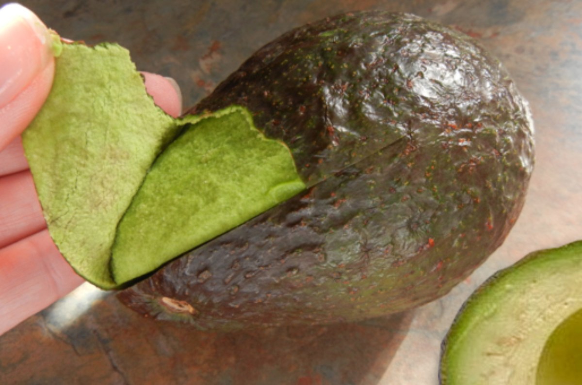 Además de ser muy beneficioso para el aguacate, la cáscara del aguacate tiene más usos de los que te imaginas ¡Conoce estos 4 usos secretos!