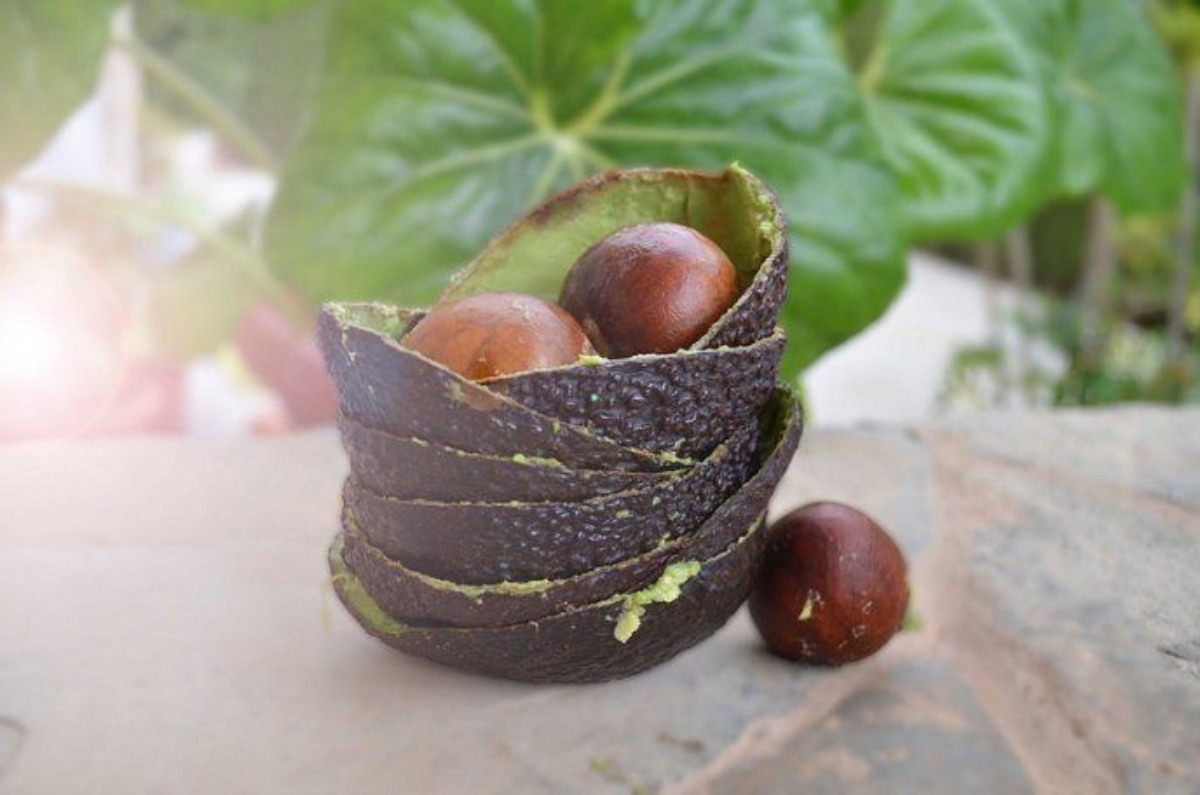 Usar la cáscara del aguacate para la piel
