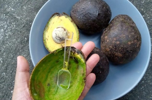 No tires la cáscara del aguacate: la piel es oro verde para ti y estos 4 usos lo demuestran