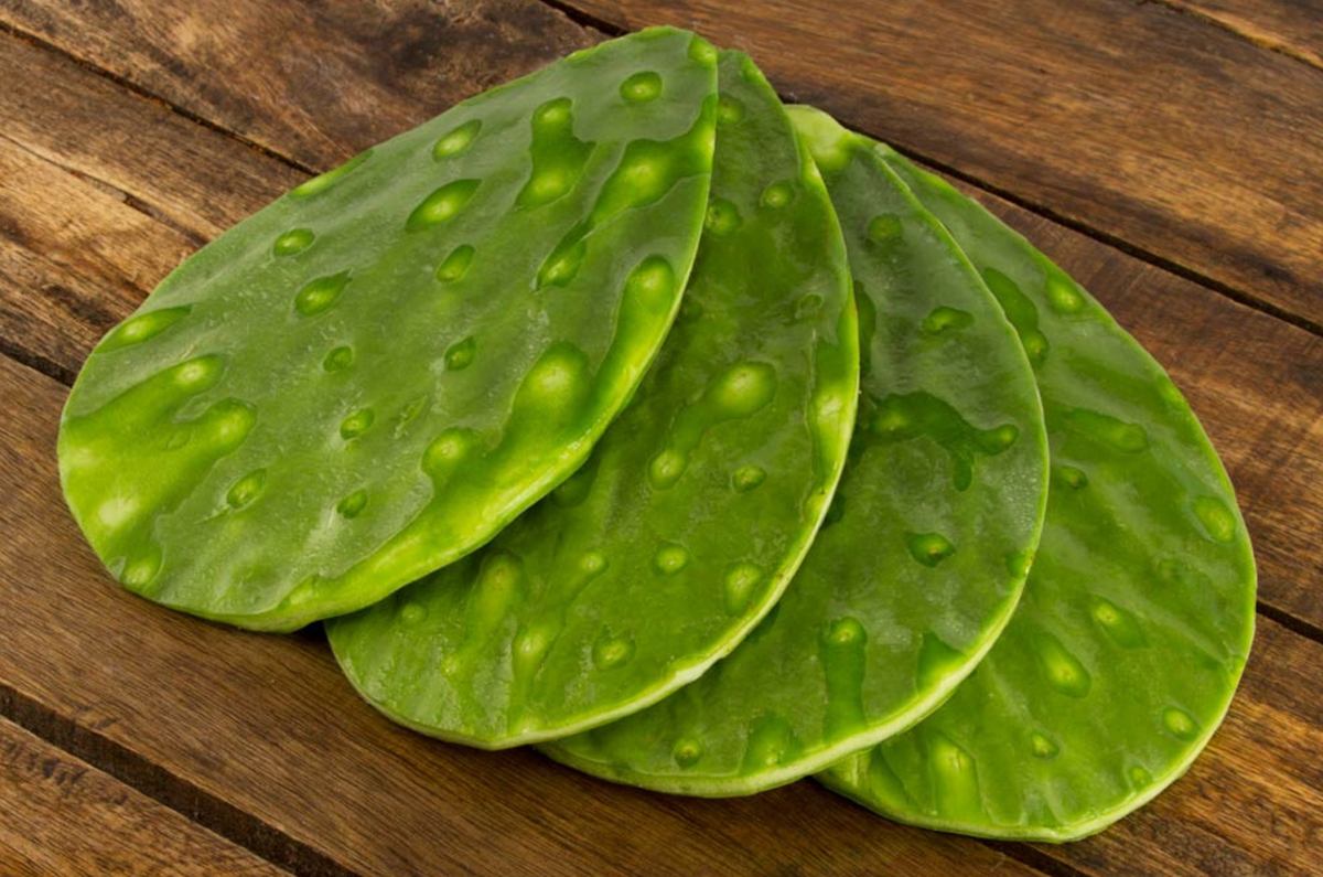 Receta de nopal empapelado relleno de queso con rajas y elotes