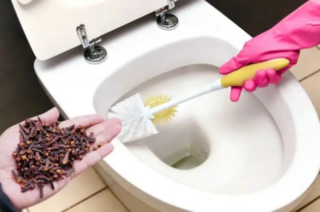 Los beneficios de agregar clavos de olor en la taza de baño antes de ir a dormir