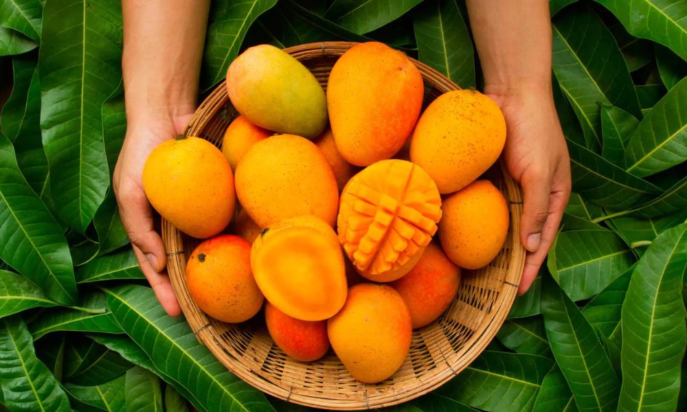 Comer mango todos los días
