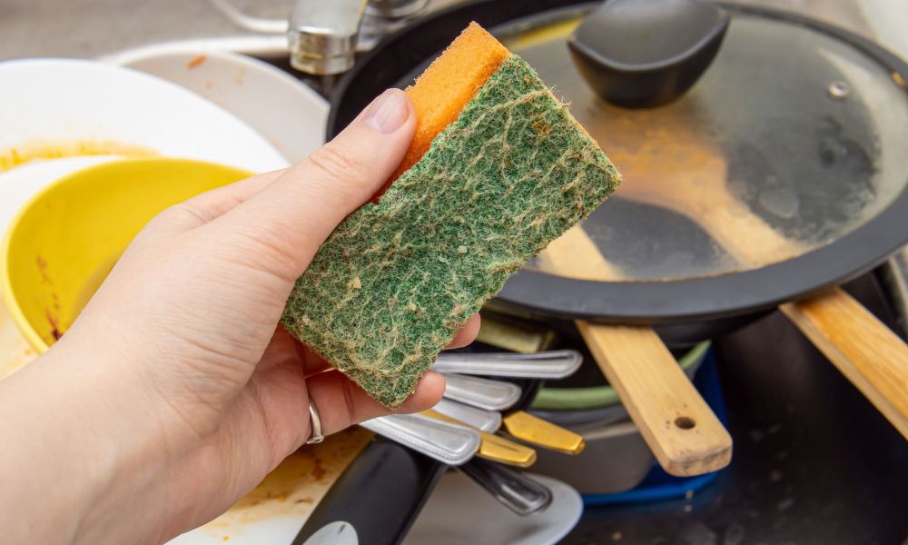 Cuánto dura una esponja de cocina