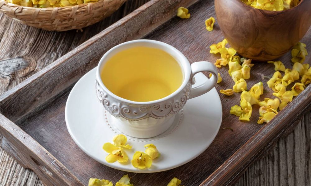 Gordolobo infusión propiedades