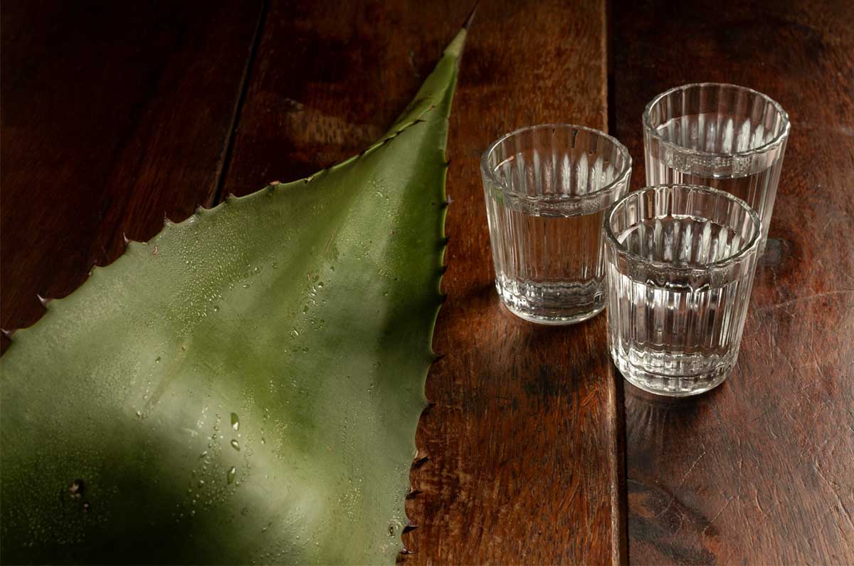 ¿Cuál es el mejor tequila para alguien que nunca lo ha probado?