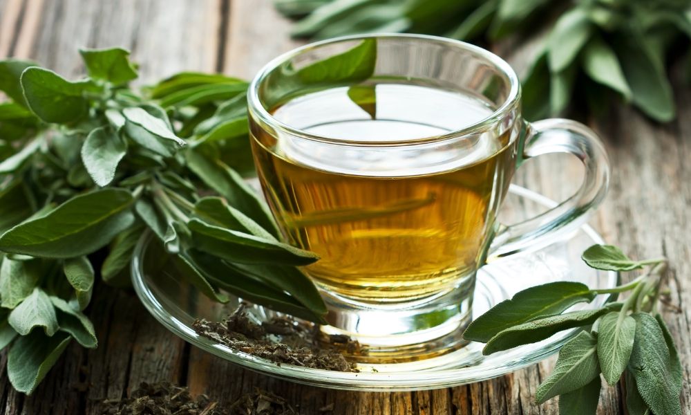 Infusión de salvia con ginseng