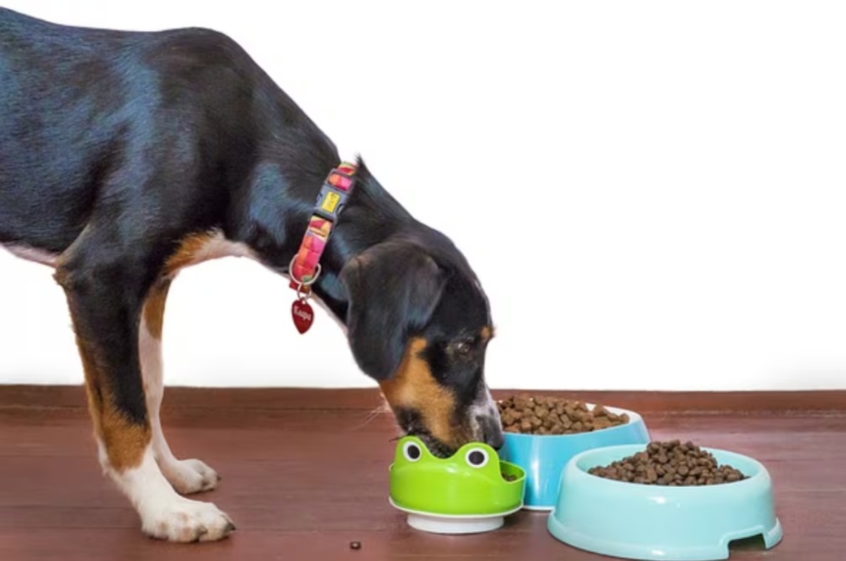 marca premium de croquetas para perro