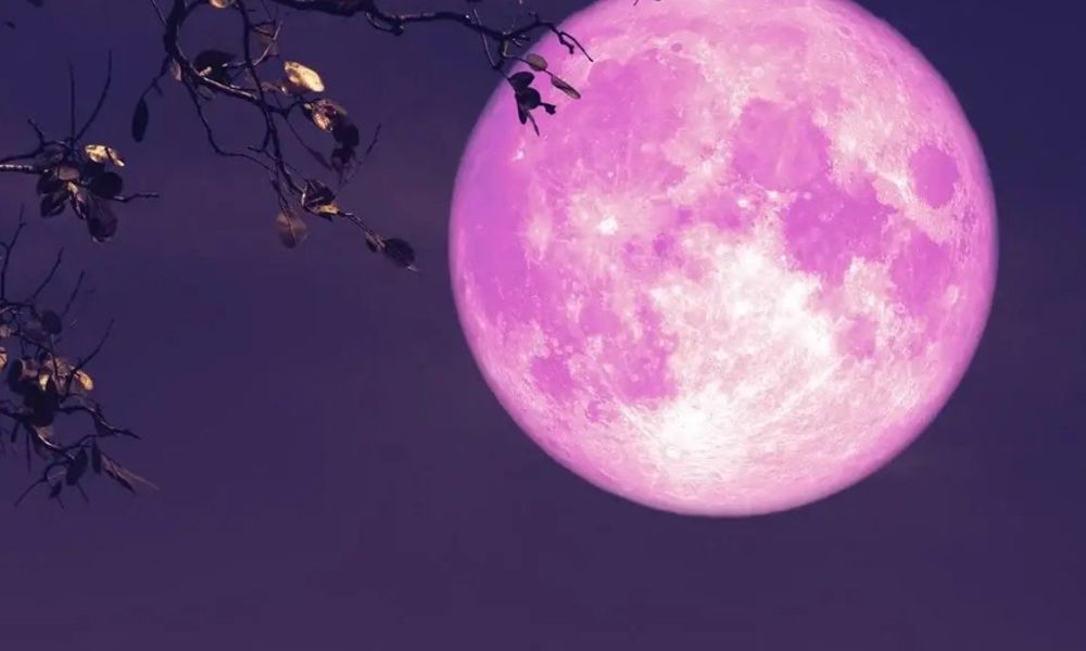 Luna de Fresa
