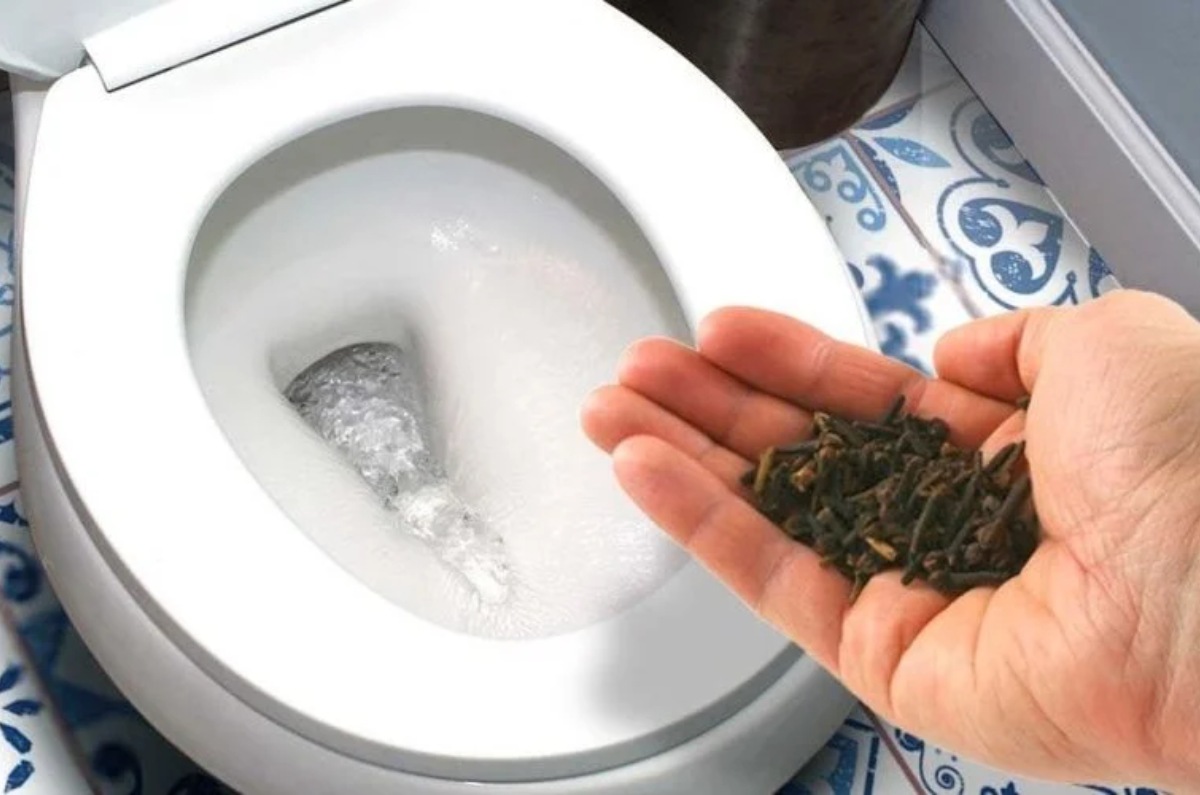 clavos de olor en la taza del baño