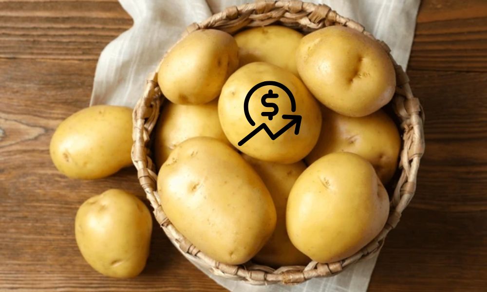 Productos que más han subido de precio