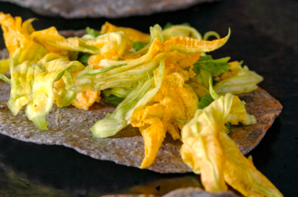 recetas con flor de calabaza