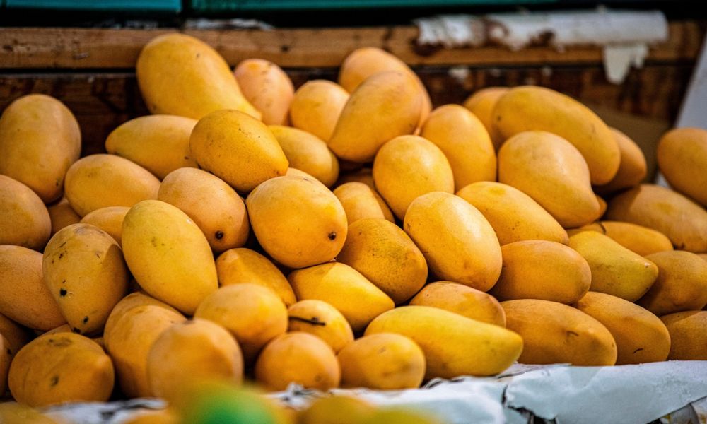 Propiedades del mango