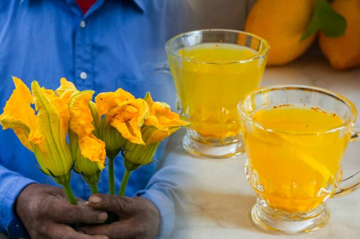 té de flor de calabaza