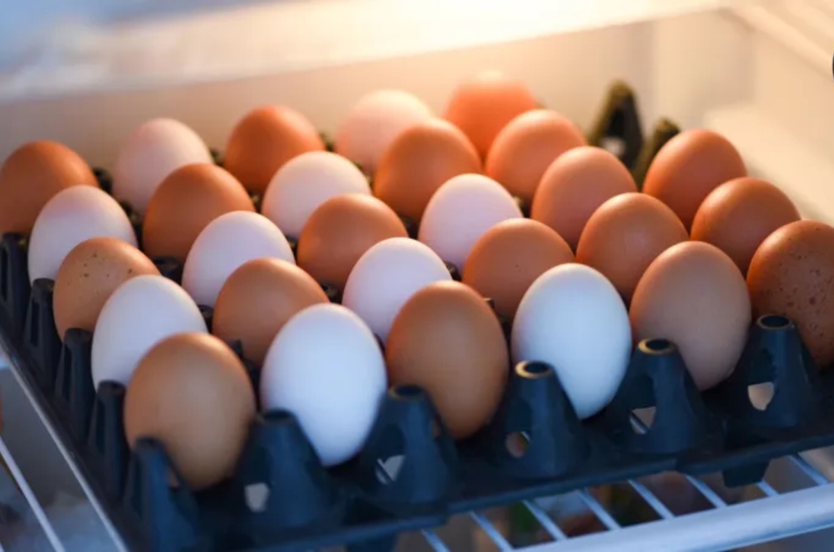 advertencia de huevos en el refrigerador