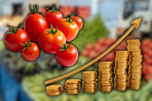 ¿Subirá de precio el jitomate en México tras arancel del 17% en EEUU? Profeco responde