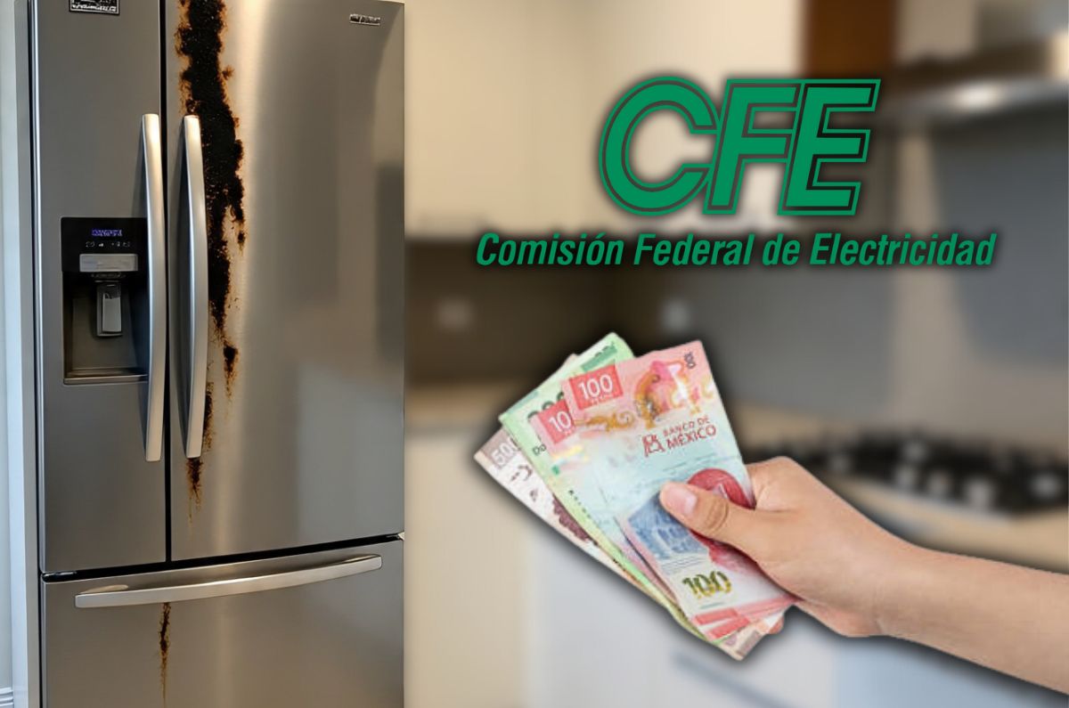 Fallas de la CFE