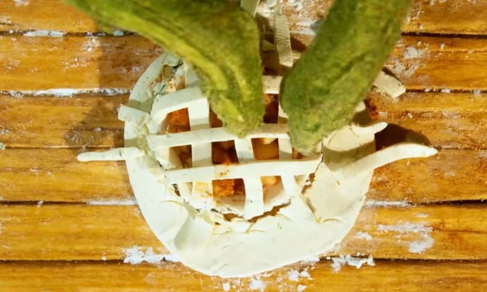 Imagen: The Tiny Chef Show