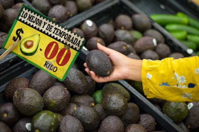 ¿Te cobran de más por el aguacate? Profeco revela dónde comprarlo más barato
