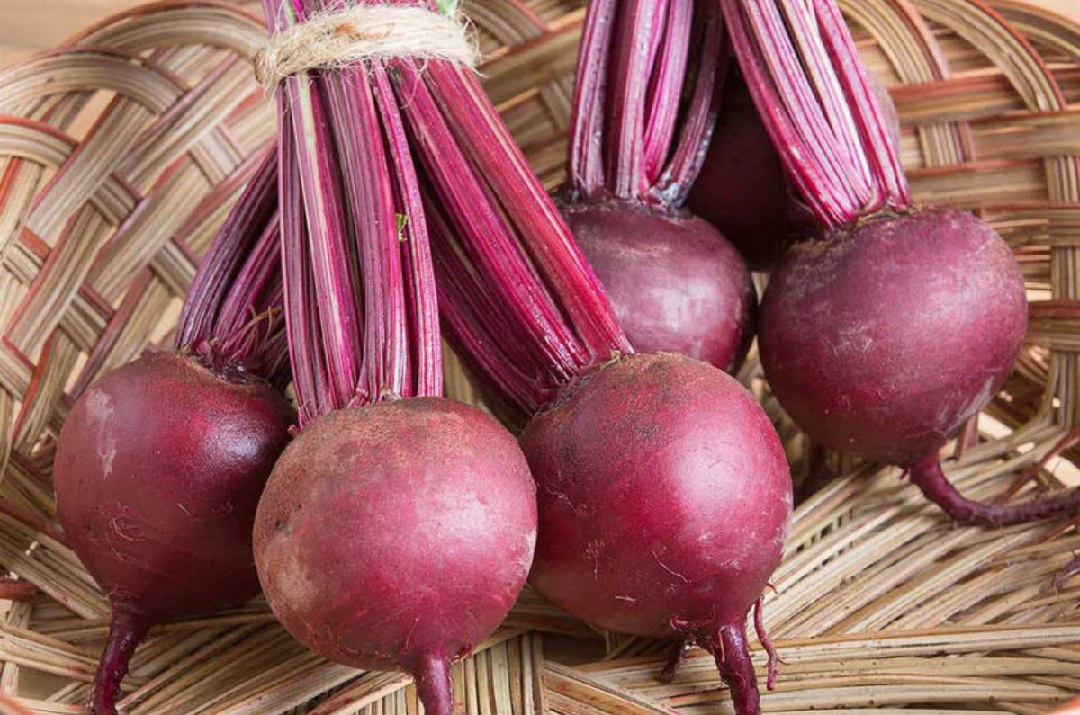 beneficios del betabel para la salud