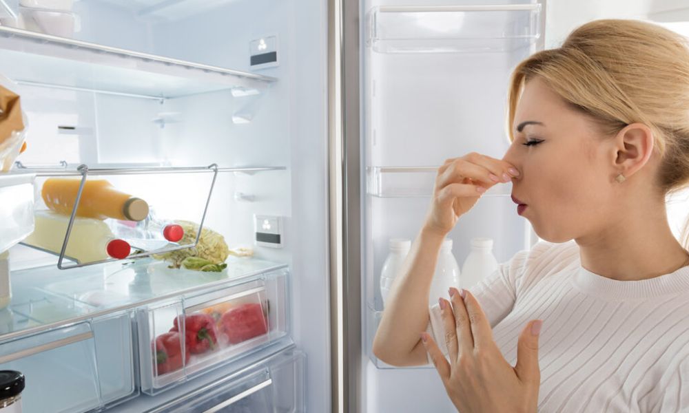 Refrigerador con mal olor