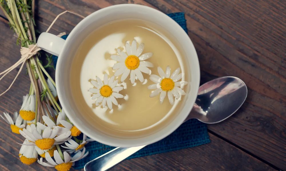 Té de manzanilla con leche cómo se prepara