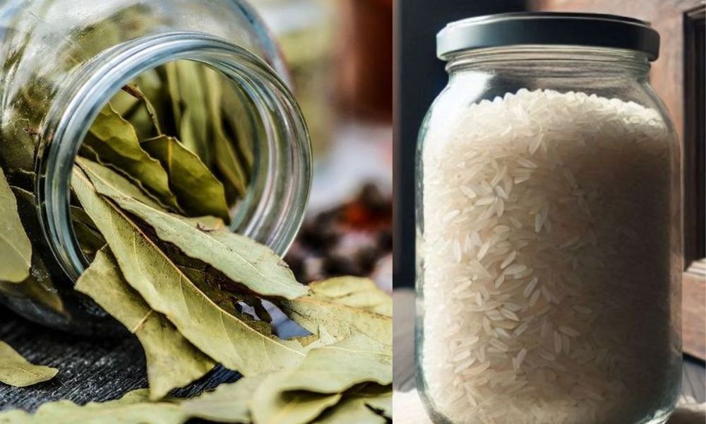 Arroz con hoja de laurel