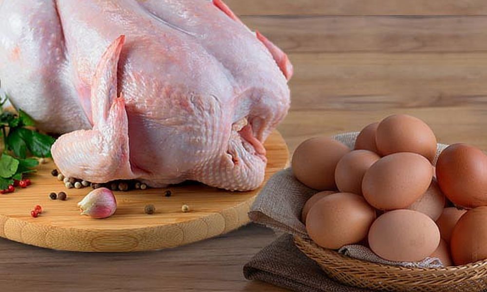Gripe aviar comer pollo y huevos