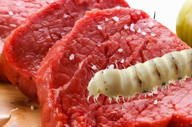¿Te puedes contagiar del gusano barrenador por comer carne? La verdad detrás del mito