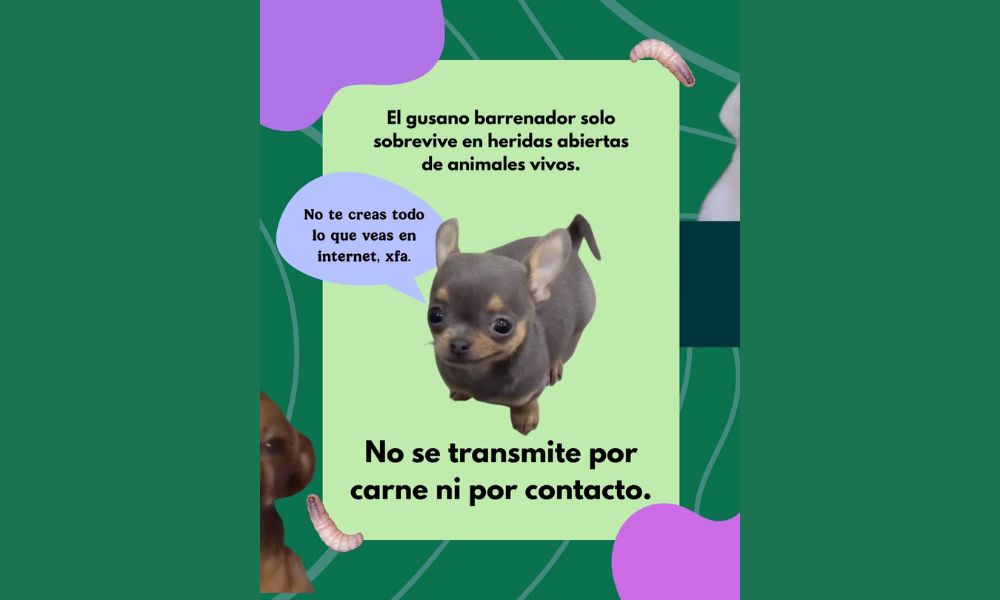 Imagen: AgriculturaMex en Facebook