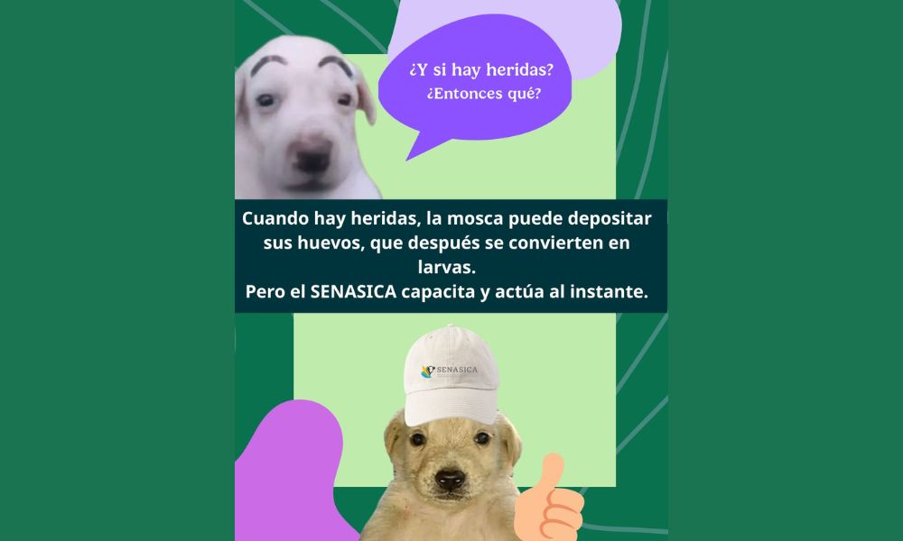 Imagen: AgriculturaMex en Facebook