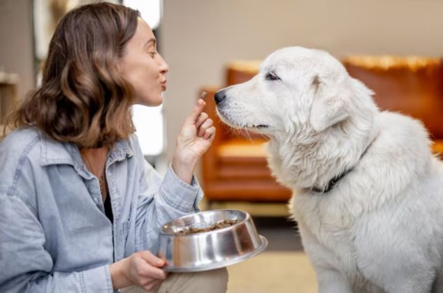 El significado profundo de hablar con los perros mientras comen, según la psicología
