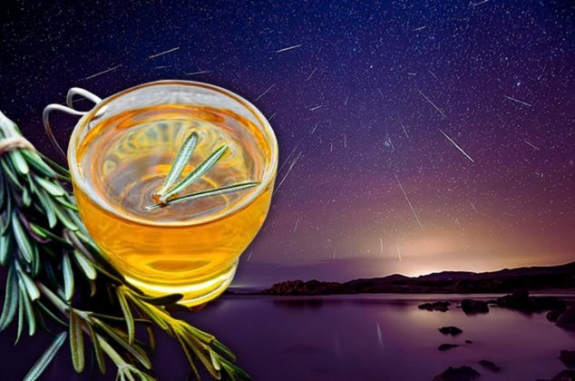 Infusión de romero: Cómo preparararla y los beneficios de tomarla durante la Lluvia de Perseidas 2025