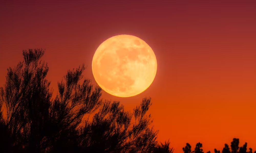 Luna de Maiz 2025