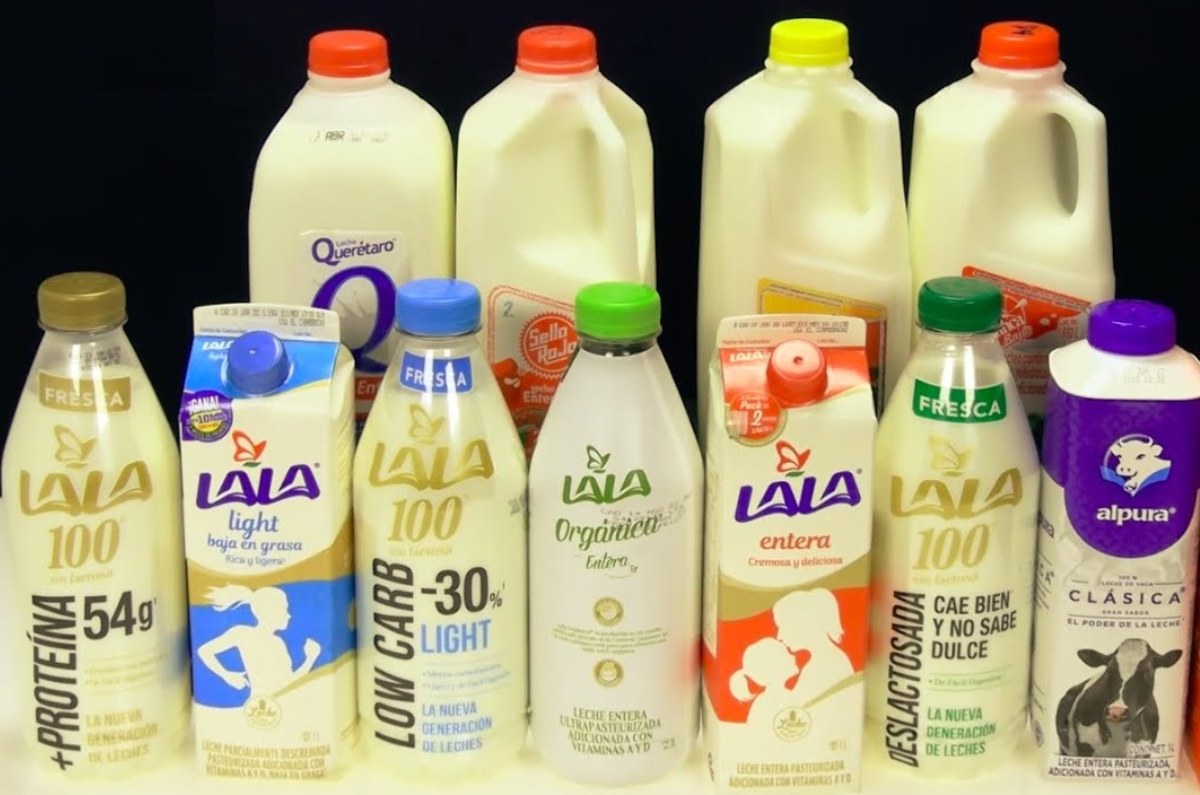 mejor leche con proteína