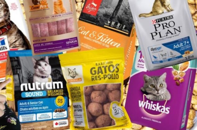 Pocos la compran, pero estas croquetas de gato son baratas según Profeco y sí nutren y dan brillo al pelo de tu mascota