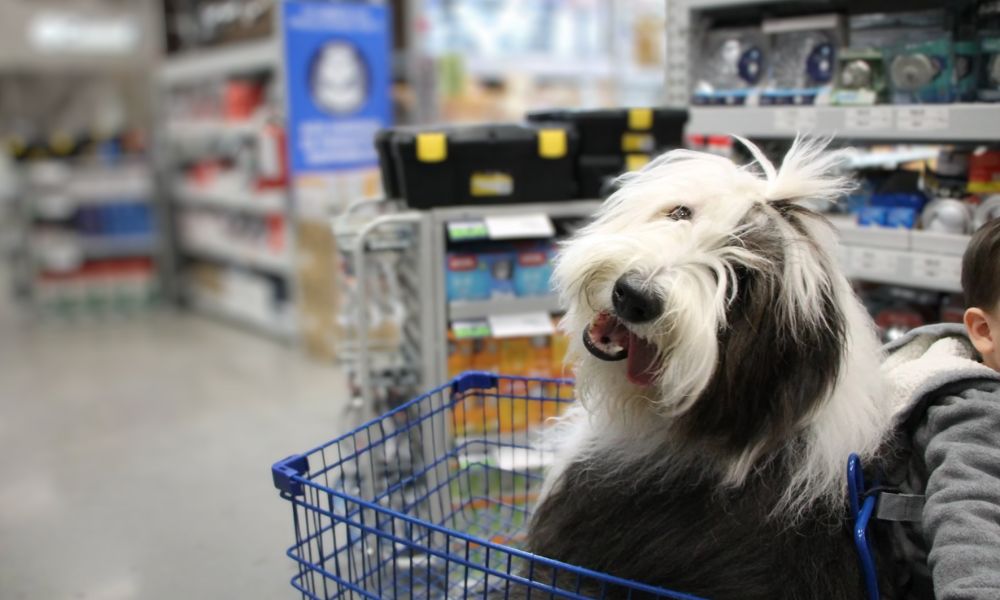 Perros en supermercados