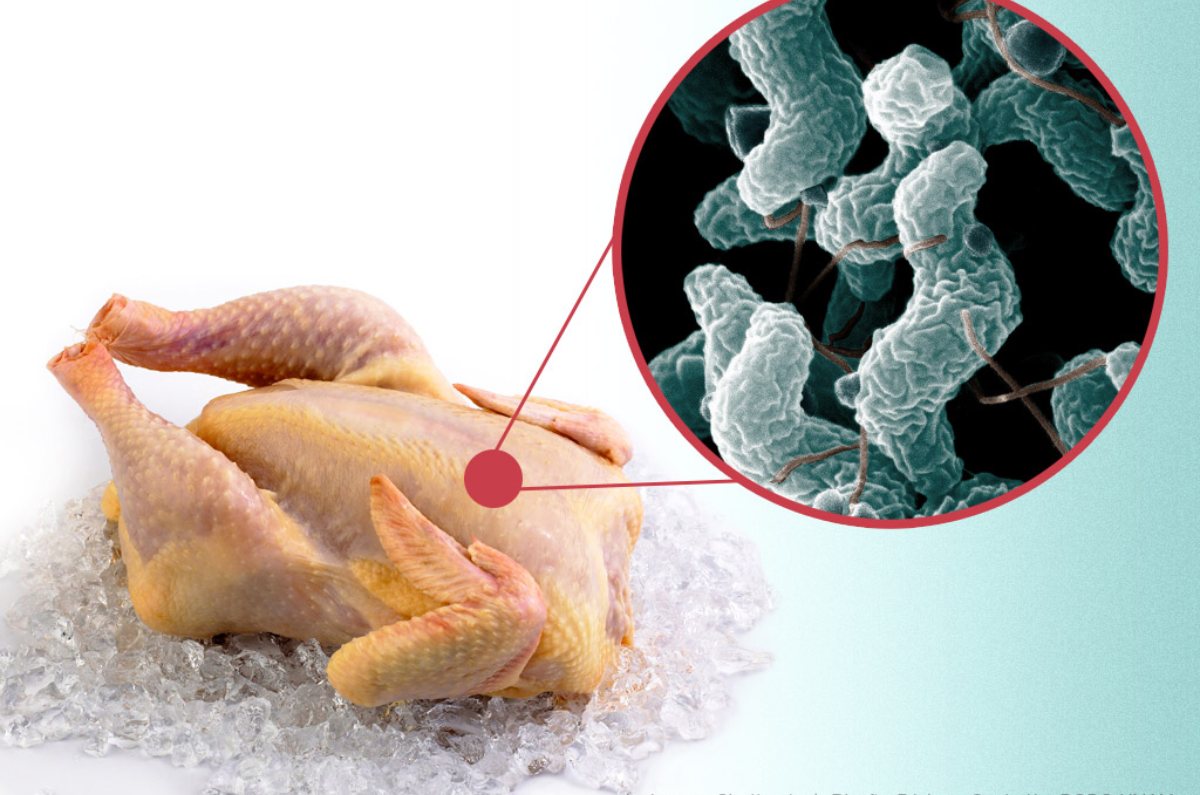 4 piezas del pollo que pueden poner en riesgo tu salud y tu no lo sabías