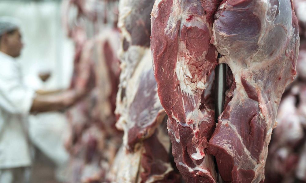 Precio carne en México