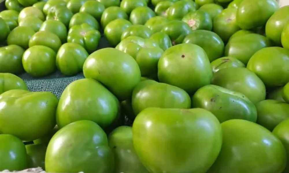 Precio del tomate verde en el mercado