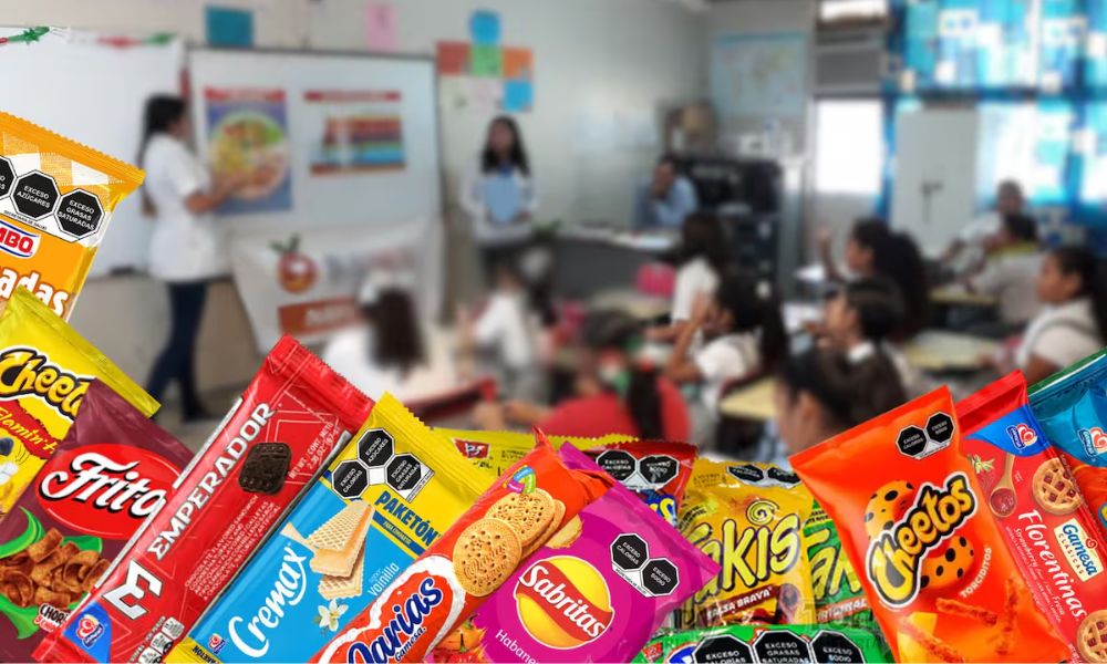 Puedo llevar comida chatarra a la escuela
