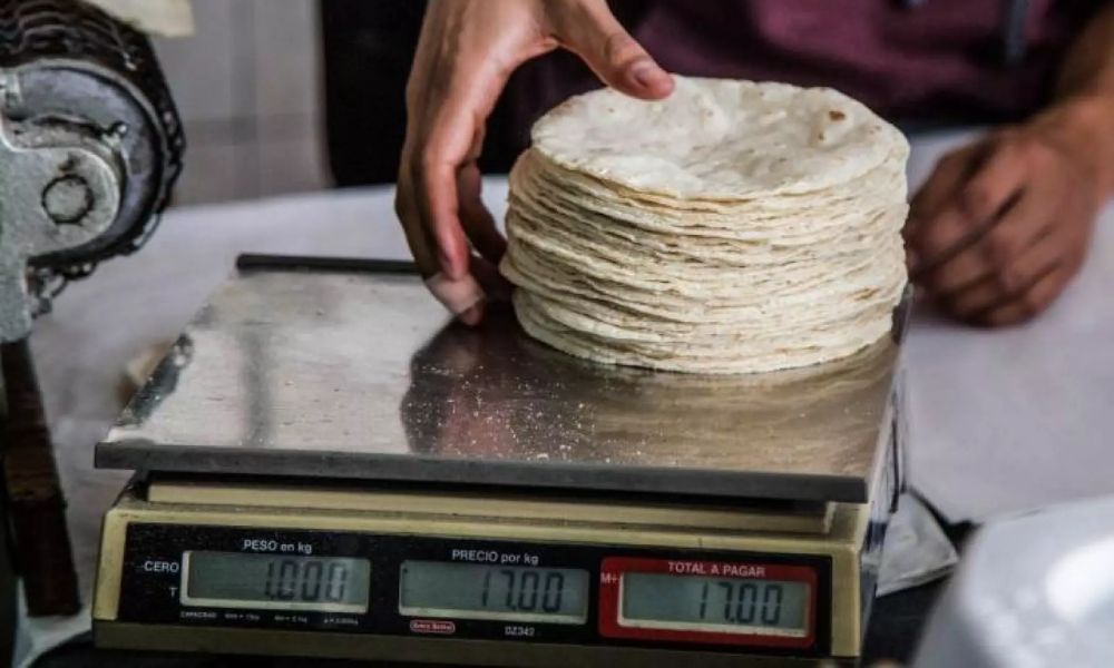 Tortillas precio por kilo
