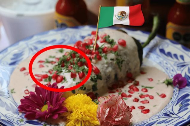 Multa y hasta prisión por preparar chile en nogada con este ingrediente prohibido
